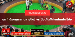 ยก 1 น้องภูผาทางสายใหม่ vs น้องไนท์ไก่ชนโคกโพธิ์ชัย