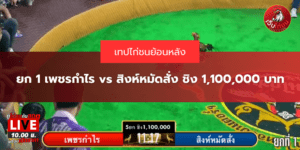 เทปย้อนหลัง ยก 1 เพชรกำไร vs สิงห์หมัดสั่ง ชิง 1,100,000 บาท