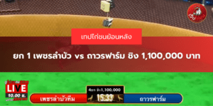 เทปย้อนหลัง ยก 1 เพชรลำบัว vs ถาวรฟาร์ม ชิง 1,100,000 บาท