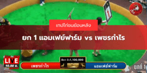 ยก 1 แอมเฟย์ฟาร์ม vs เพชรกำไร