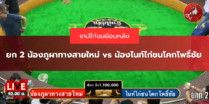 ยก 2 น้องภูผาทางสายใหม่ vs น้องไนท์ไก่ชนโคกโพธิ์ชัย