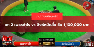 เทปไก่ชนย้อนหลัง ยก 2 เพชรกำไร vs สิงห์หมัดสั่ง ชิง 1,100,000 บาท