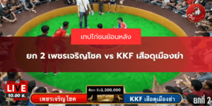 เทปย้อนหลัง ยก 2 เพชรเจริญโชค vs KKF เสือดุเมืองย่า