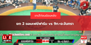 ยก 2 แอมเฟย์ฟาร์ม vs 9ก.+อ.จันทรา