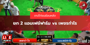 ยก 2 แอมเฟย์ฟาร์ม vs เพชรกำไร