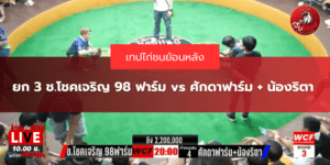 ยก 3 ช.โชคเจริญ 98 ฟาร์ม vs ศักดาฟาร์ม + น้องริตา