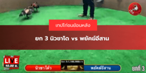 ยก 3 นิวชาโด vs พยัคฆ์อีสาน