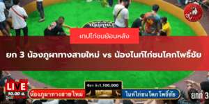 ยก 3 น้องภูผาทางสายใหม่ vs น้องไนท์ไก่ชนโคกโพธิ์ชัย