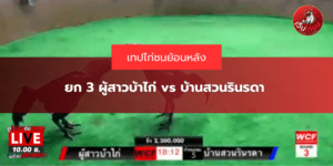 ยก 3 ผู้สาวบ้าไก่ vs บ้านสวนรินรดา