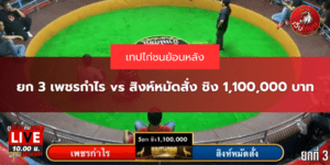 เทปย้อนหลัง ยก 3 เพชรกำไร vs สิงห์หมัดสั่ง ชิง 1,100,000 บาท