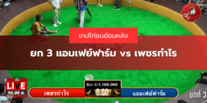 ยก 3 แอมเฟย์ฟาร์ม vs เพชรกำไร