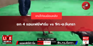 ยก 4 แอมเฟย์ฟาร์ม vs 9ก.+อ.จันทรา