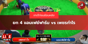 ยก 4 แอมเฟย์ฟาร์ม vs เพชรกำไร