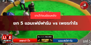 ยก 5 แอมเฟย์ฟาร์ม vs เพชรกำไร