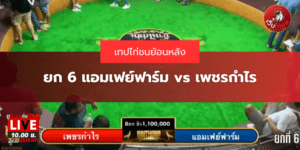 ยก 6 แอมเฟย์ฟาร์ม vs เพชรกำไร