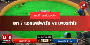 ยก 7 แอมเฟย์ฟาร์ม vs เพชรกำไร