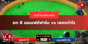 ยก 8 แอมเฟย์ฟาร์ม vs เพชรกำไร