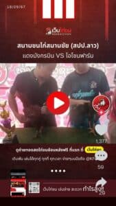 สนามชนไก่สมานชัย