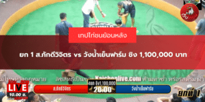 ยก 1 ส.ภักดีวิจิตร vs วังน้ำเย็นฟาร์ม ชิง 1,100,000 บาท