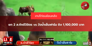 ยก 2 ส.ภักดีวิจิตร vs วังน้ำเย็นฟาร์ม ชิง 1,100,000 บาท