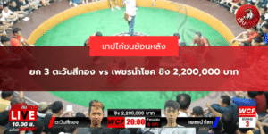 ยก 3 ตะวันสีทอง vs เพชรนำโชค ชิง 2,200,000 บาท