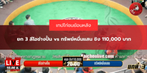 ยก 3 ลีโอช่างปั้น vs ทรัพย์หมื่นแสน ชิง 110,000 บาท