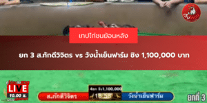 ยก 3 ส.ภักดีวิจิตร vs วังน้ำเย็นฟาร์ม ชิง 1,100,000 บาท