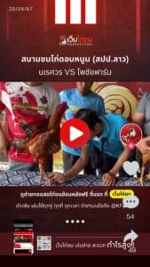 สนามชนไก่ดอนหนูน (สปป.ลาว)