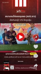 สนามชนไก่ยอดขุนพล