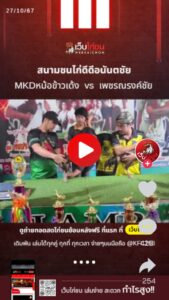 สนามชนไก่ดีดีอนันตชัย