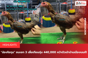 น้องโชกุน ชนะยก 3 เสี่ยเทียนทุ่ม 440,000 คว้าตัวเข้าบ้านเมืองนนท์!