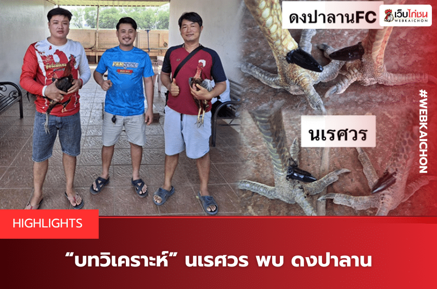 “บทวิเคราะห์” นเรศวร พบ ดงปาลาน