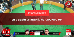 ยก 2 ต.สิงโต vs ลิด้าฟาร์ม ชิง 1,100,000 บาท