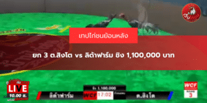 ยก 3 ต.สิงโต vs ลิด้าฟาร์ม ชิง 1,100,000 บาท