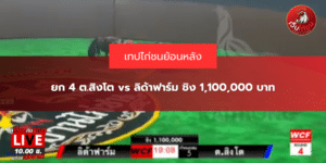 ยก 4 ต.สิงโต vs ลิด้าฟาร์ม ชิง 1,100,000 บาท