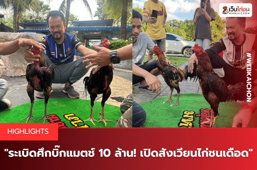 ระเบิดศึกบิ๊กแมตช์ 10 ล้าน! เปิดสังเวียนไก่ชนเดือด