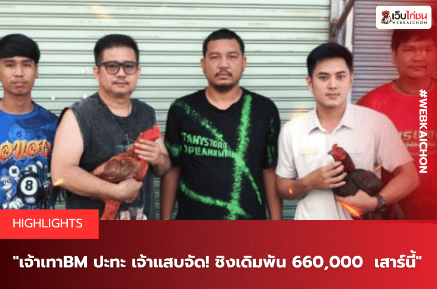 เจ้าเทาBM ปะทะ เจ้าแสบจัด! ชิงเดิมพัน 660,000 เสาร์นี้