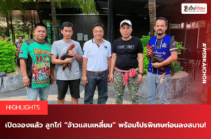 เปิดจองแล้ว! ลูกไก่ “จ้าวแสนเหลี่ยม” พร้อมโปรพิเศษก่อนลงสนาม!