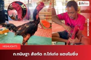 กกนิษฐา สังกัด กไก่เก่ง