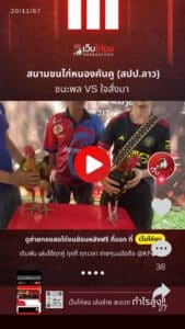 สนามชนไก่หนองคันคูล่าสุด