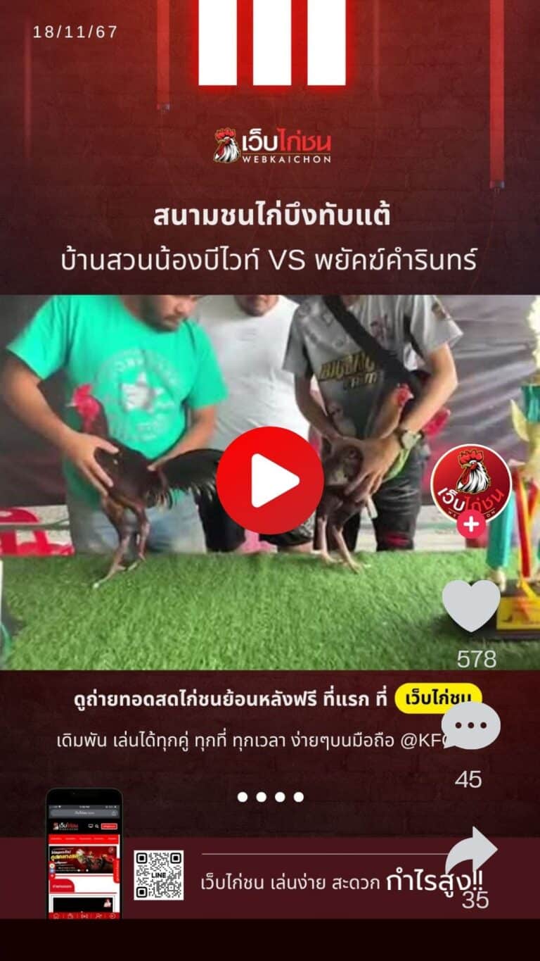 สนามชนไก่บึงทับแต้