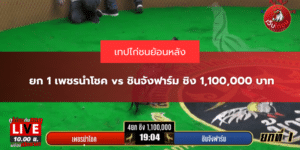 ยก 1 เพชรนำโชค vs ชินจังฟาร์ม ชิง 1,100,000 บาท