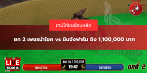 ยก 2 เพชรนำโชค vs ชินจังฟาร์ม ชิง 1,100,000 บาท