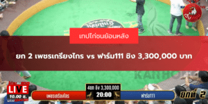 ยก 2 เพชรเกรียงไกร vs ฟาร์ม111 ชิง 3,300,000 บาท