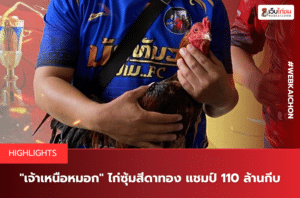 เจ้าเหนือหมอก ไก่ซุ้มสีดาทอง แชมป์ 110 ล้านกีบ