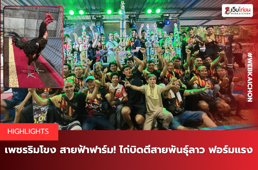 เพชรริมโขง สายฟ้าฟาร์ม! ไก่บิดตีสายพันธุ์ลาว ฟอร์มแรง