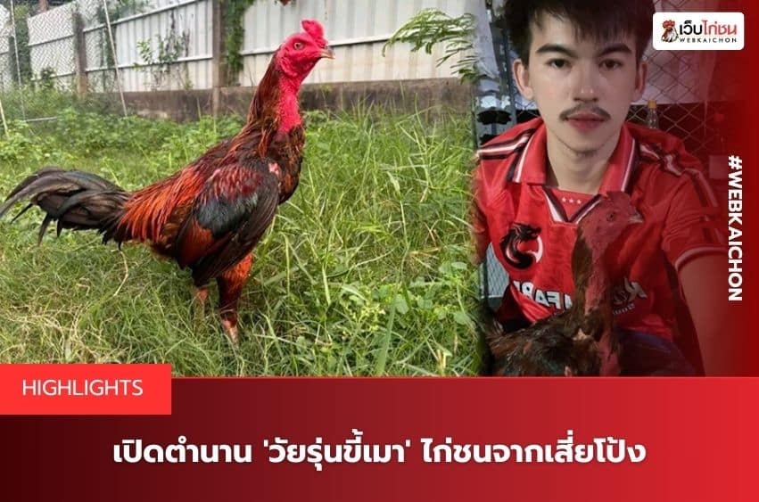 วัยรุ่นขี้เมาไก่ชนเสี่ยโป้ง