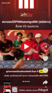 สนามชนไก่PNMดอนหนูน888วันนี้