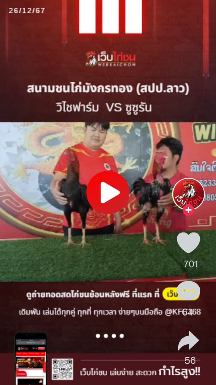 สนามชนไก่มังกรทอง