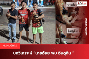 บทวิเคราะห์ “นายฮ้อย พบ อินดูจีน ”